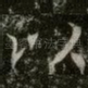 以