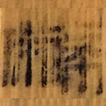 幣