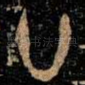 廿