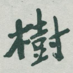 樹