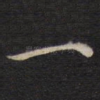 一