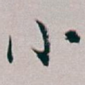 小