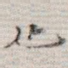 也