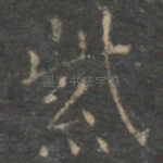 紫