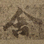 舍