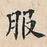 服