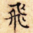 飞
