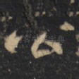 公