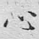 心