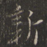新