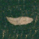 一