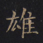 雄