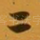 二