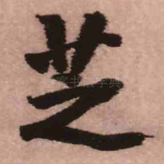 芝