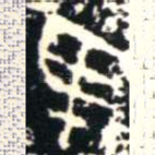 隹