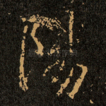 陽