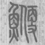 鯾