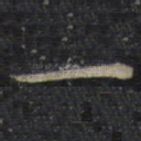 一