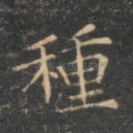 种