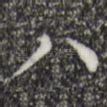 八