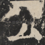 公