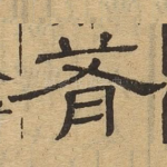 肴