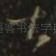 甚
