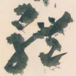 體