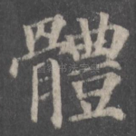体