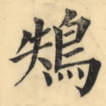 鴩