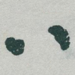 八