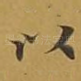 以