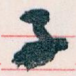 子