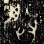 朕