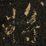 将