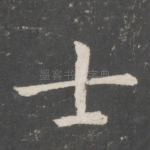 士