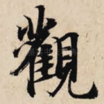 观