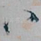八