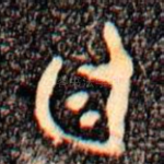廷