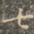 七