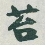 苔