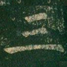 三