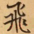 飞