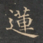 莲