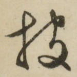披