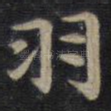 羽