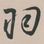 羽