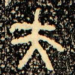 夫