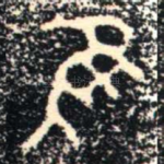 隹