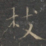 枝